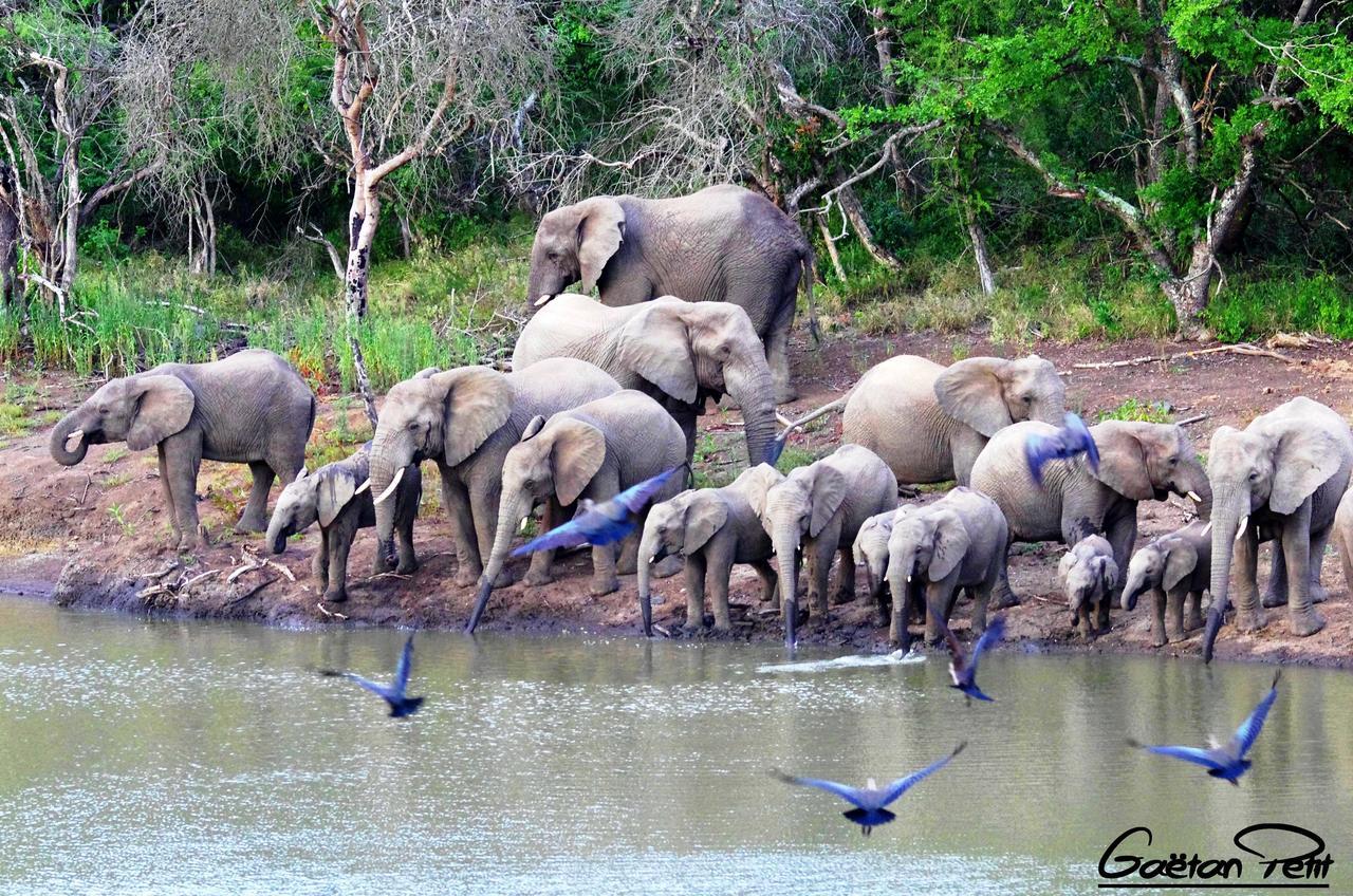 Thula Thula Exclusive Private Game Reserve & Lodge Ntambanana 외부 사진