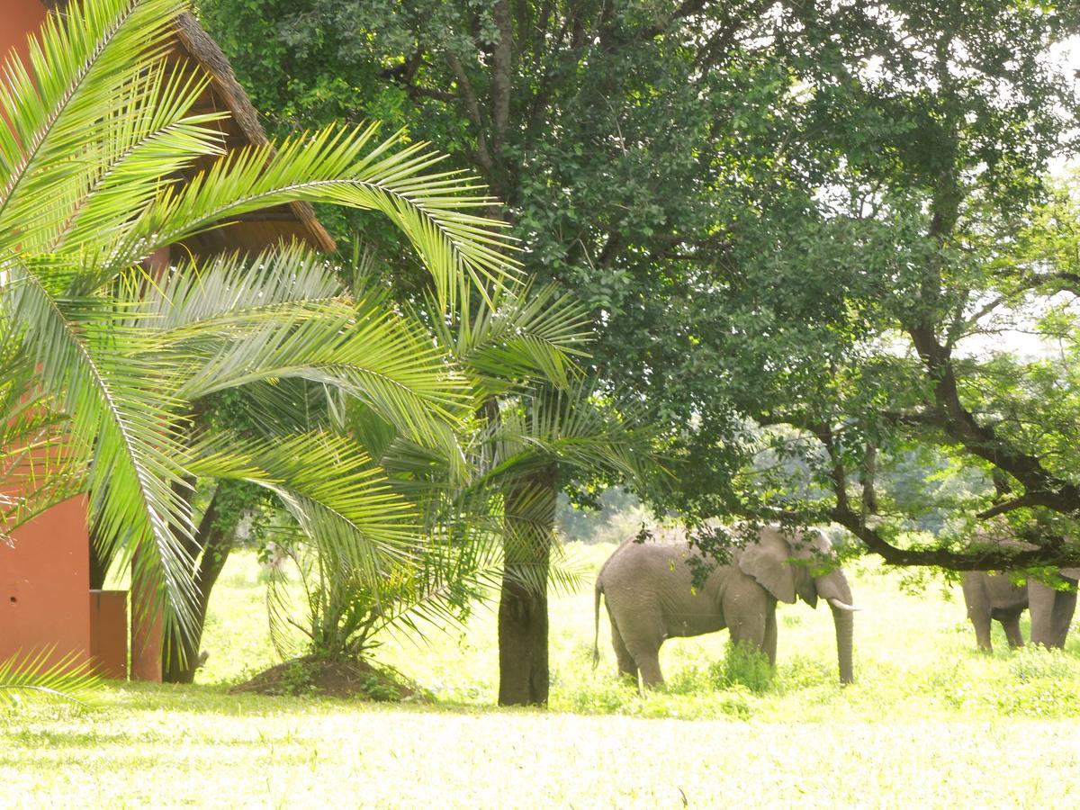 Thula Thula Exclusive Private Game Reserve & Lodge Ntambanana 외부 사진