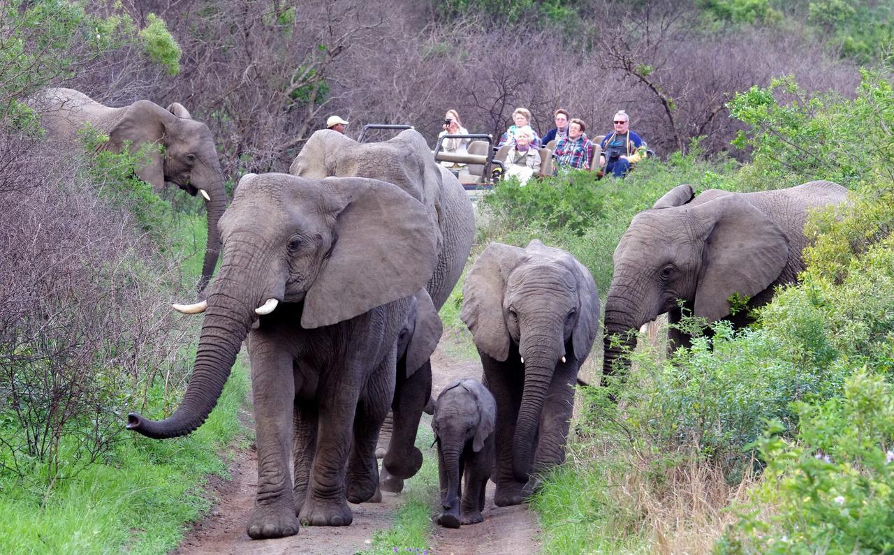 Thula Thula Exclusive Private Game Reserve & Lodge Ntambanana 외부 사진