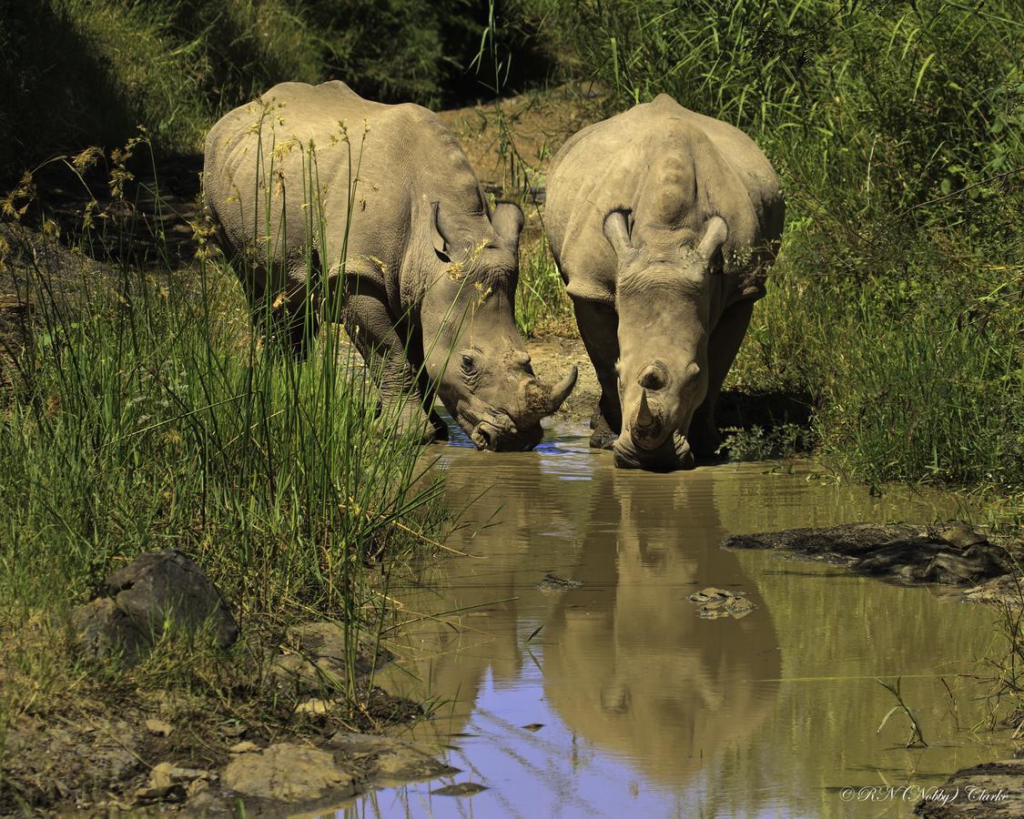 Thula Thula Exclusive Private Game Reserve & Lodge Ntambanana 외부 사진
