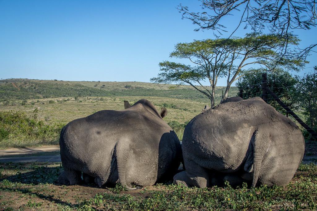 Thula Thula Exclusive Private Game Reserve & Lodge Ntambanana 외부 사진
