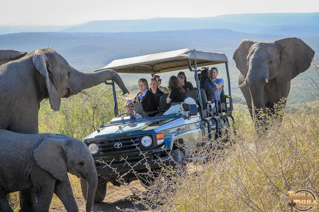 Thula Thula Exclusive Private Game Reserve & Lodge Ntambanana 외부 사진