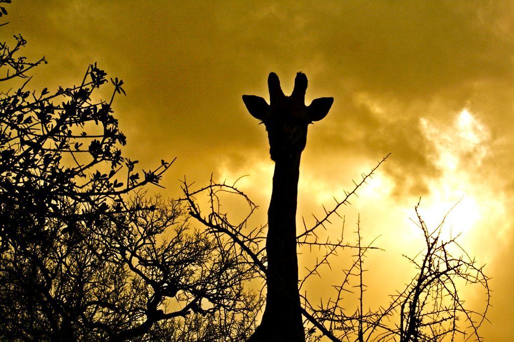 Thula Thula Exclusive Private Game Reserve & Lodge Ntambanana 외부 사진