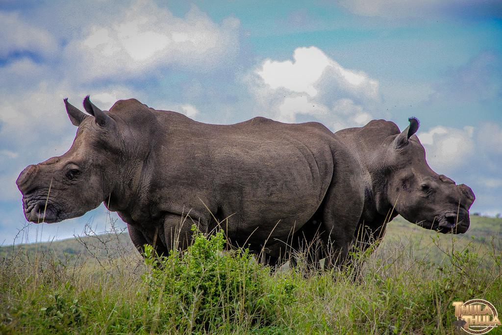 Thula Thula Exclusive Private Game Reserve & Lodge Ntambanana 외부 사진