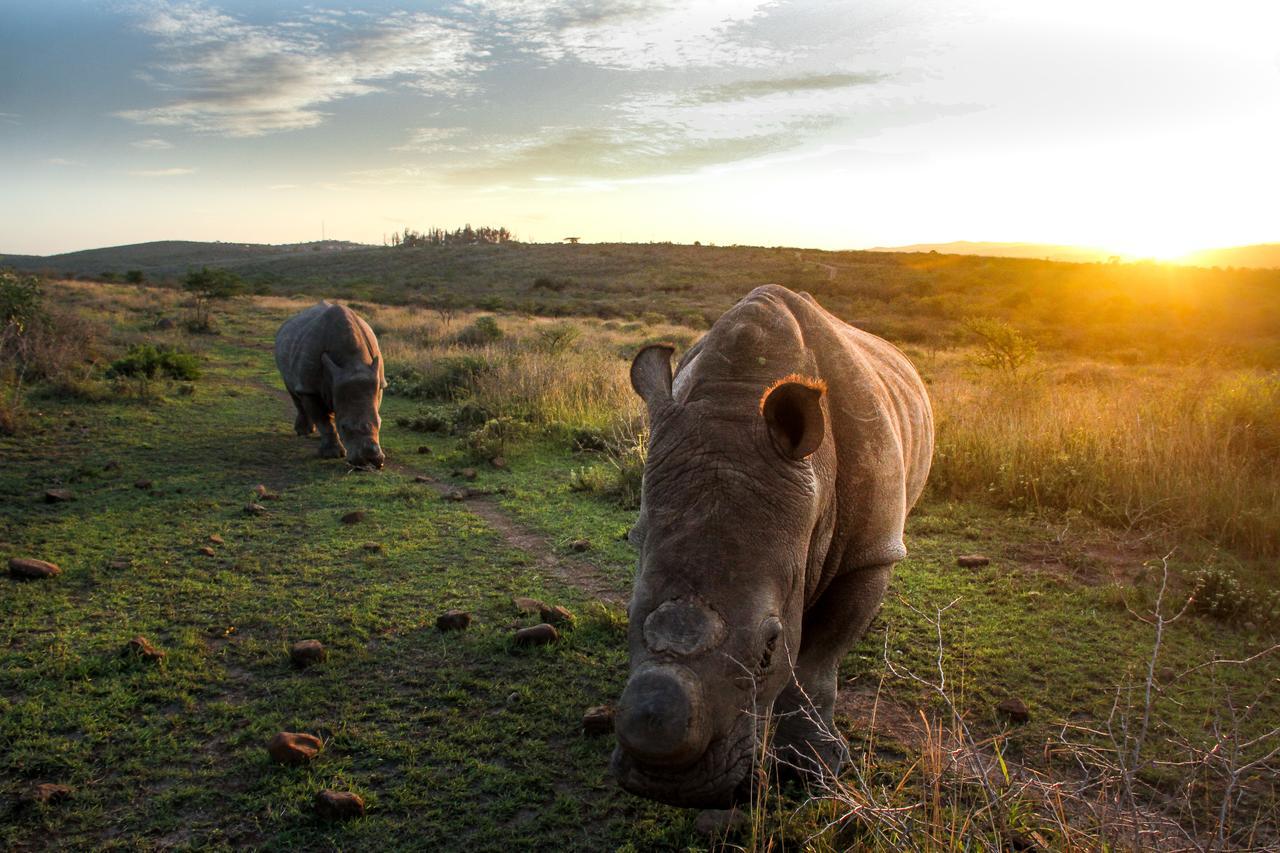 Thula Thula Exclusive Private Game Reserve & Lodge Ntambanana 외부 사진