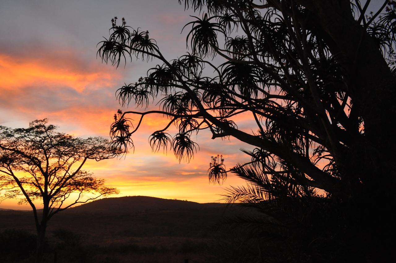 Thula Thula Exclusive Private Game Reserve & Lodge Ntambanana 외부 사진