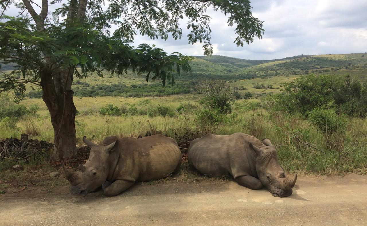 Thula Thula Exclusive Private Game Reserve & Lodge Ntambanana 외부 사진