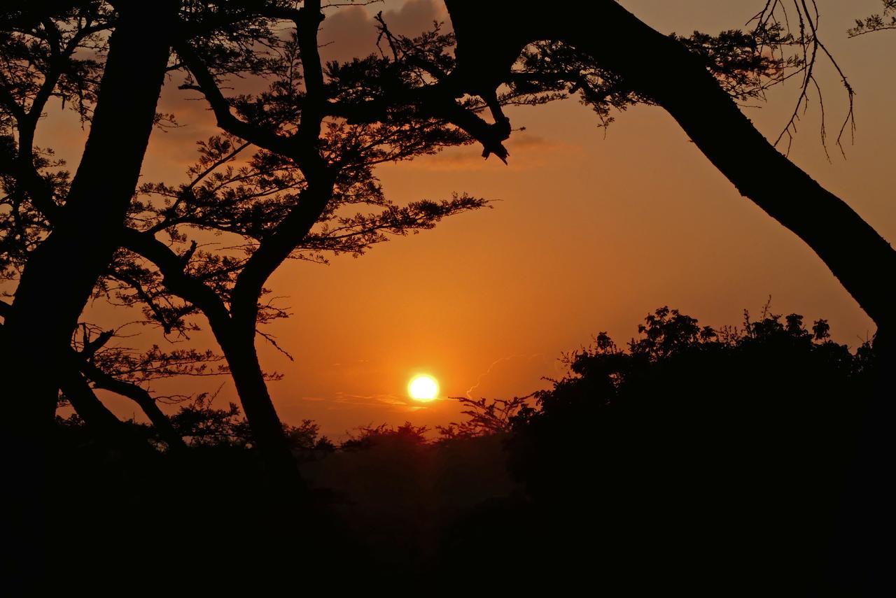 Thula Thula Exclusive Private Game Reserve & Lodge Ntambanana 외부 사진